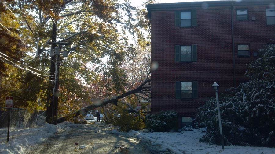 Storm & Ice Dam Response